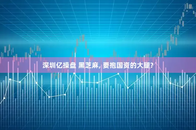 深圳亿操盘 黑芝麻, 要抱国资的大腿?