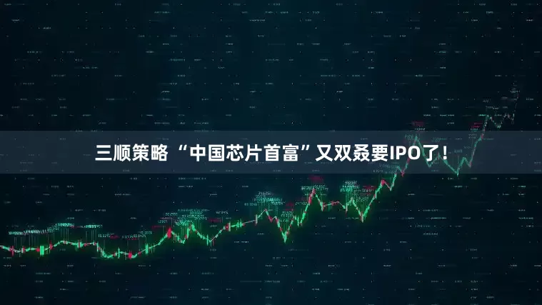 三顺策略 “中国芯片首富”又双叒要IPO了！